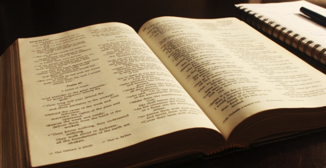 How Literal is Your Bible Translation?