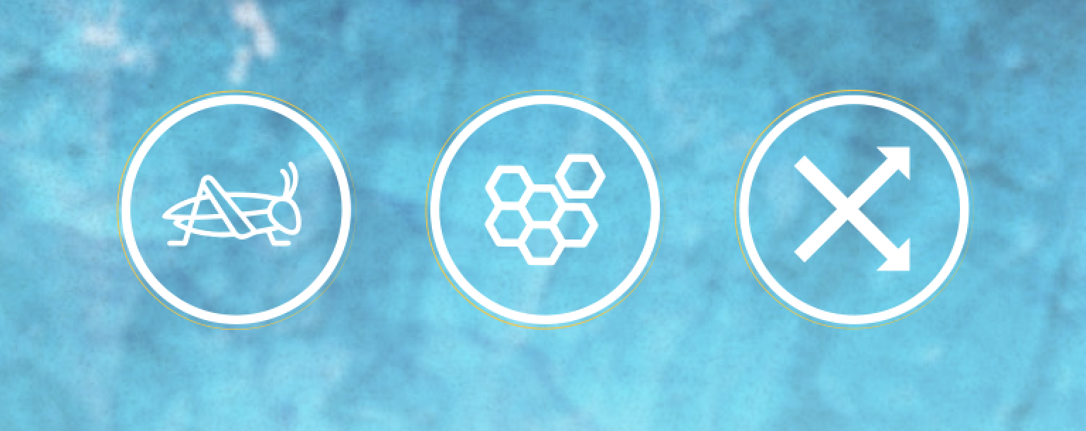 Something Old, Something New