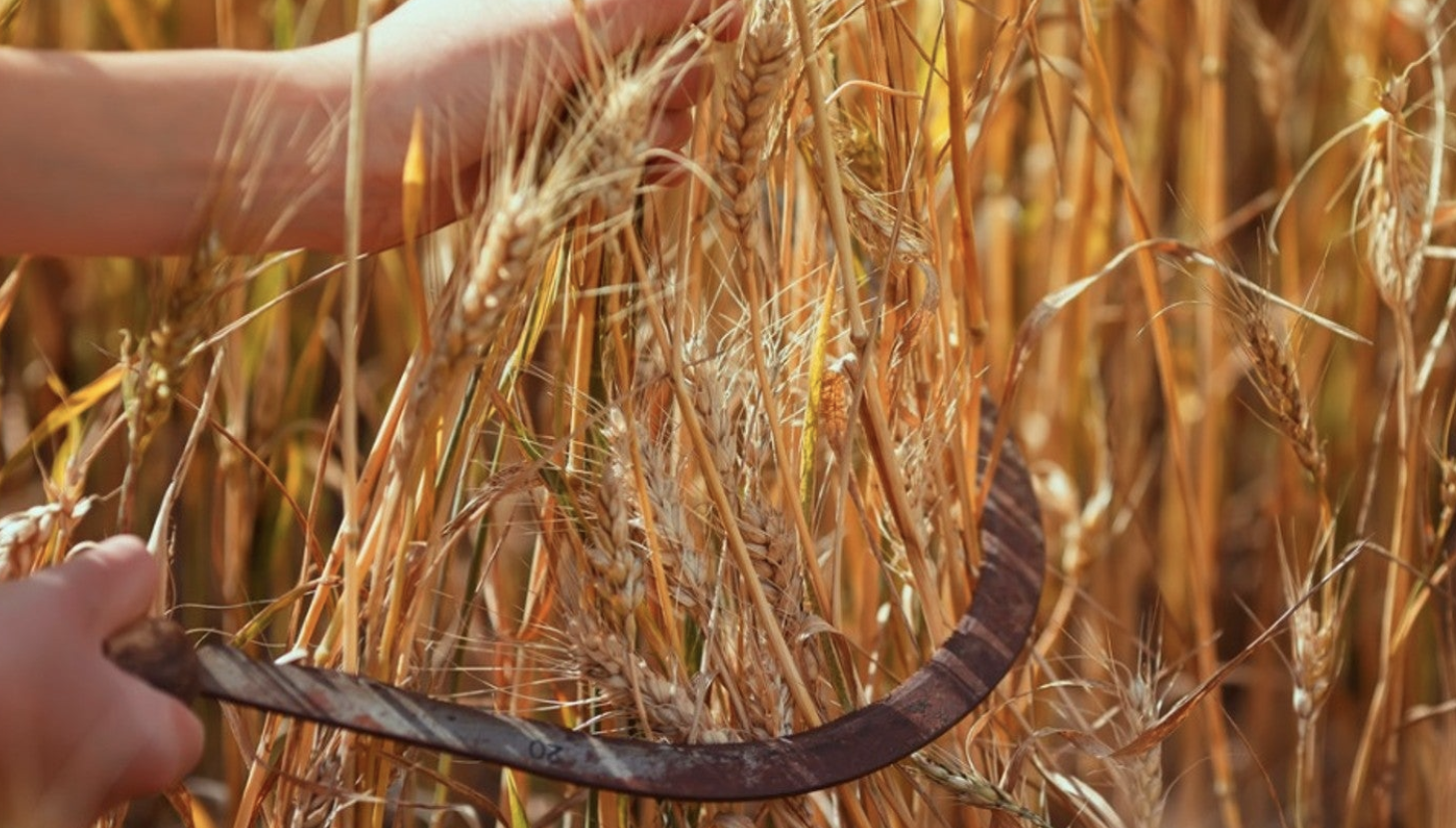 Co-Laborers and Eschatological Apologetics